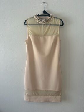 SHEIKE Australia Sheath Dress in Pale Blush